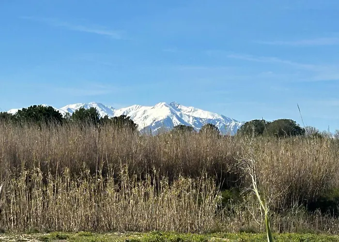 Meublé Tourisme Climatisé - Accès Direct - Vue Mer, Montagne - Terrasse - Parking - Appartement